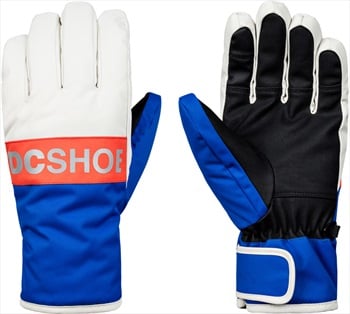DC Franchise Ski/Snowboard Gloves, XL Surf The Web