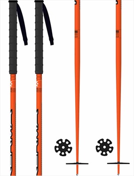 dynastar ski poles