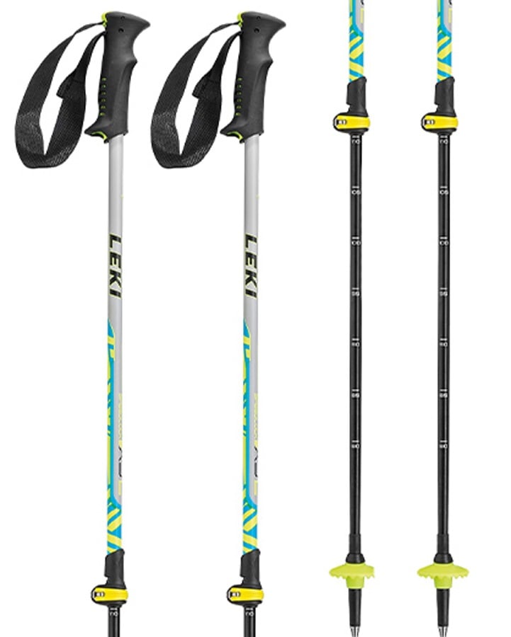 telescoping ski poles