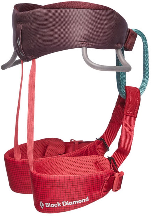 Black Diamond Momentum Kids Rock Climbing Harness, 5669cm Wild Rose