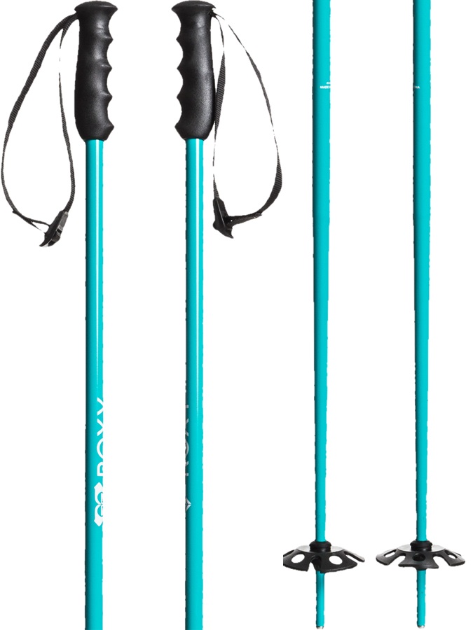 teal ski poles