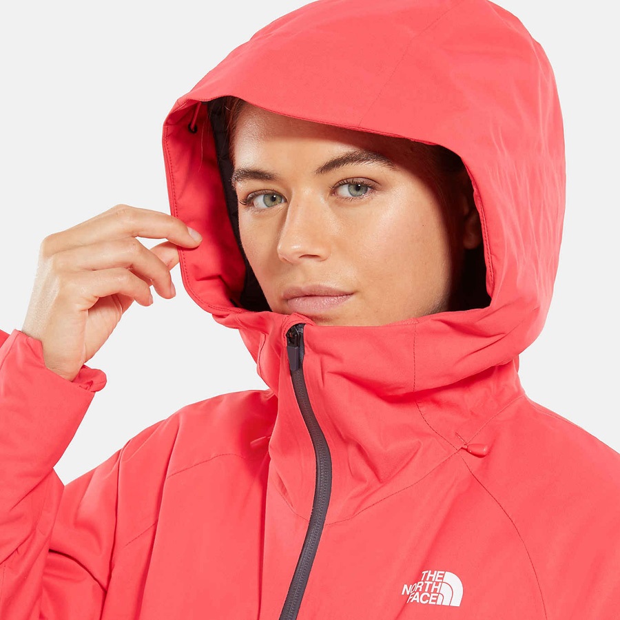 teaberry pink north face