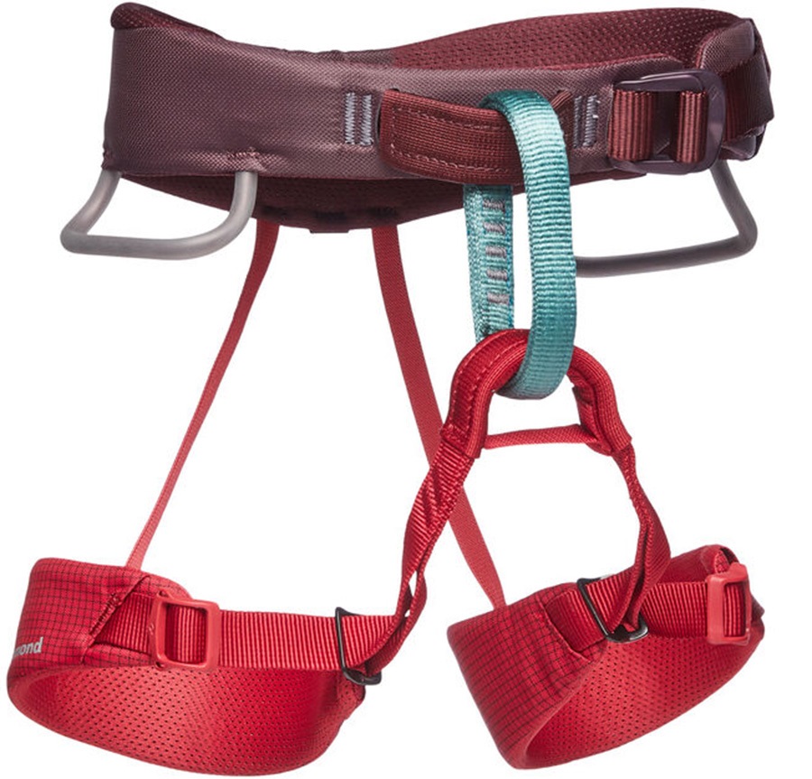 Black Diamond Momentum Kids Rock Climbing Harness, 5669cm Wild Rose