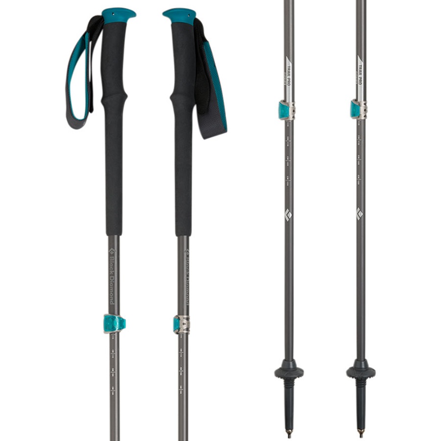 flick lock trekking pole
