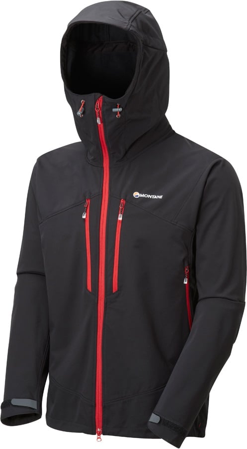 montane sabretooth