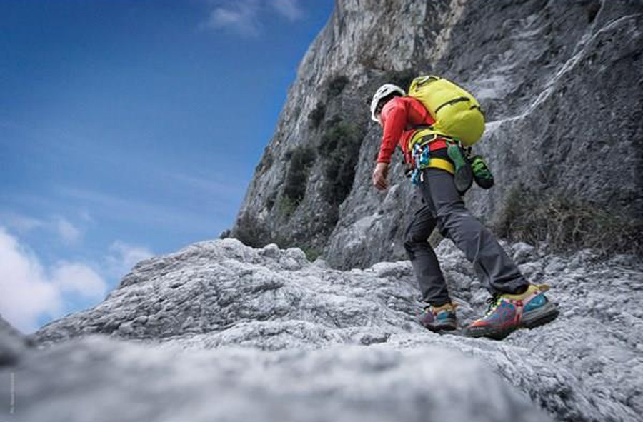 salewa climbing harness