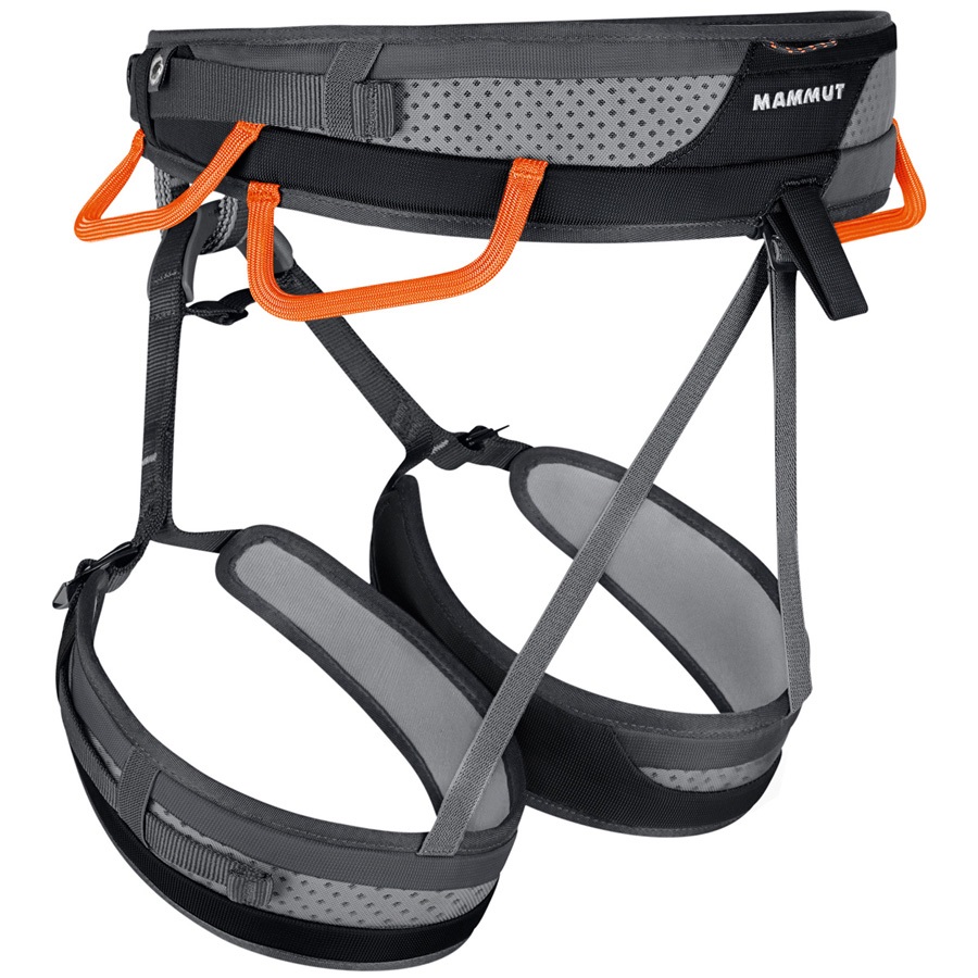 mammut ophir