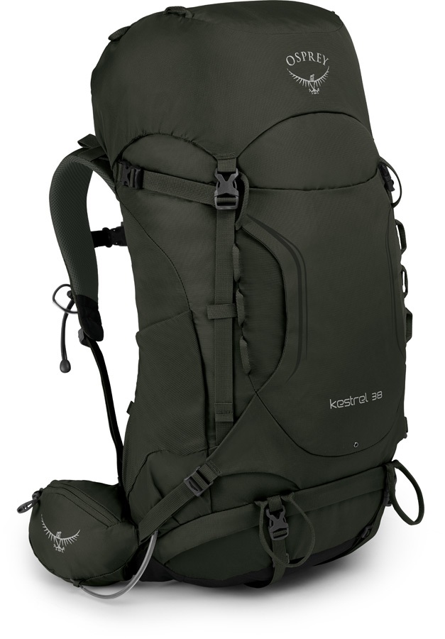 osprey kestrel 38 picholine green