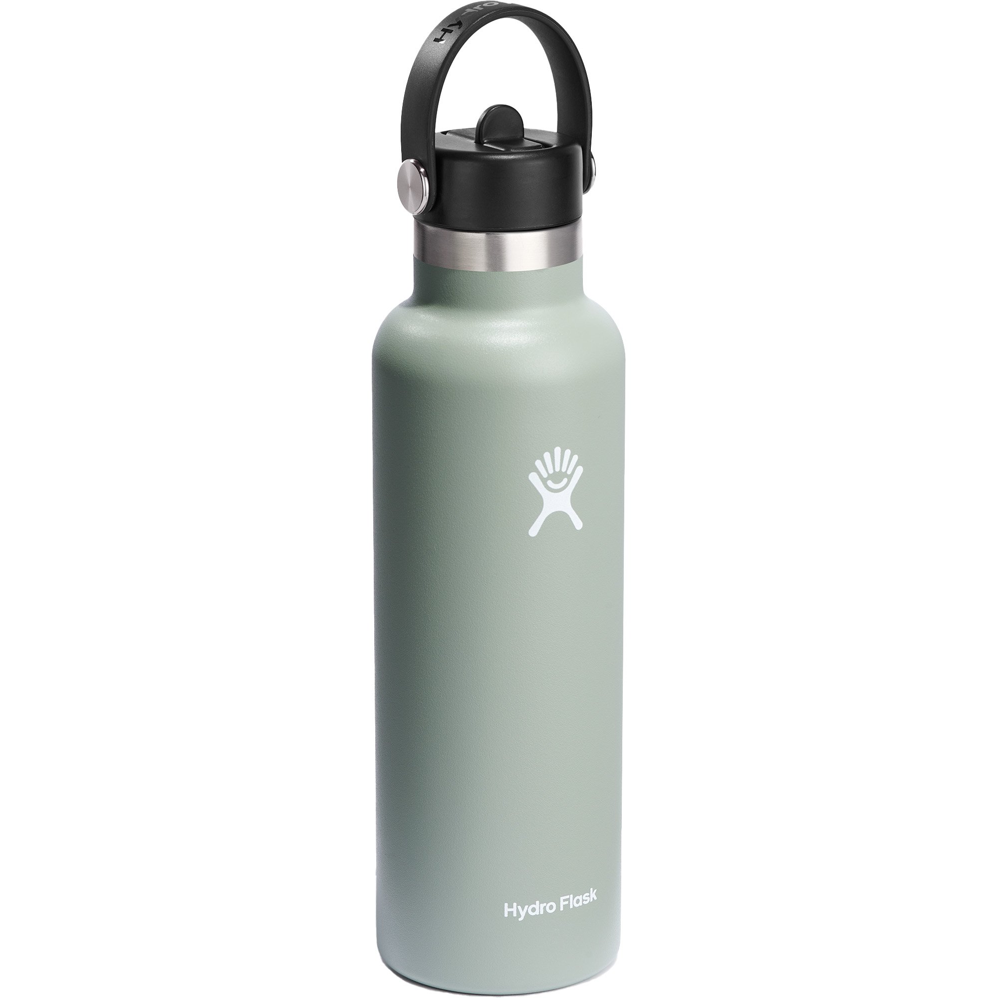 Photos - Other goods for tourism Hydro Flask 21oz Standard Mouth w/ Flex Straw Cap Water Bottle, Agave S21F 