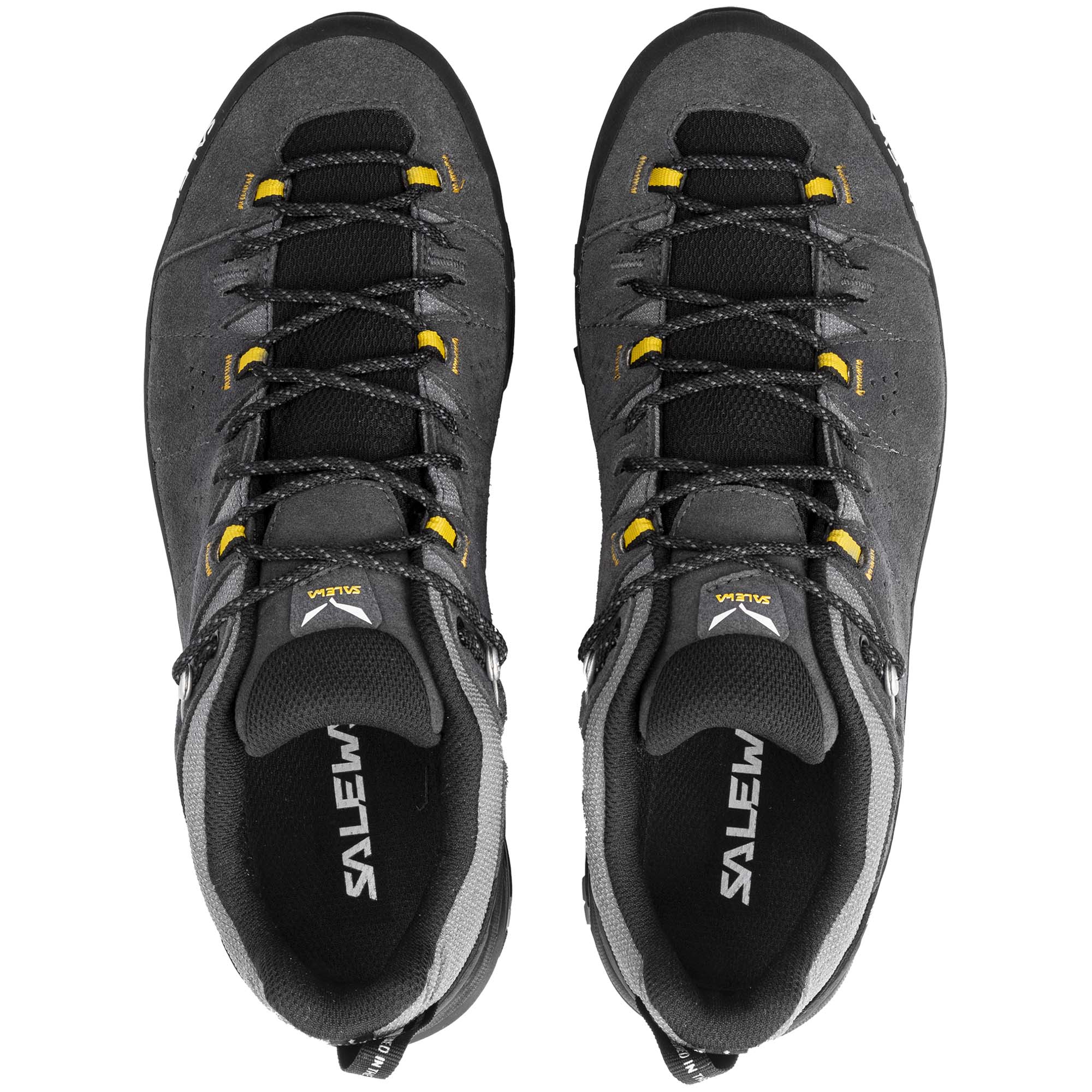 Salewa Alp Trainer 2 GTX Men's Walking Shoes