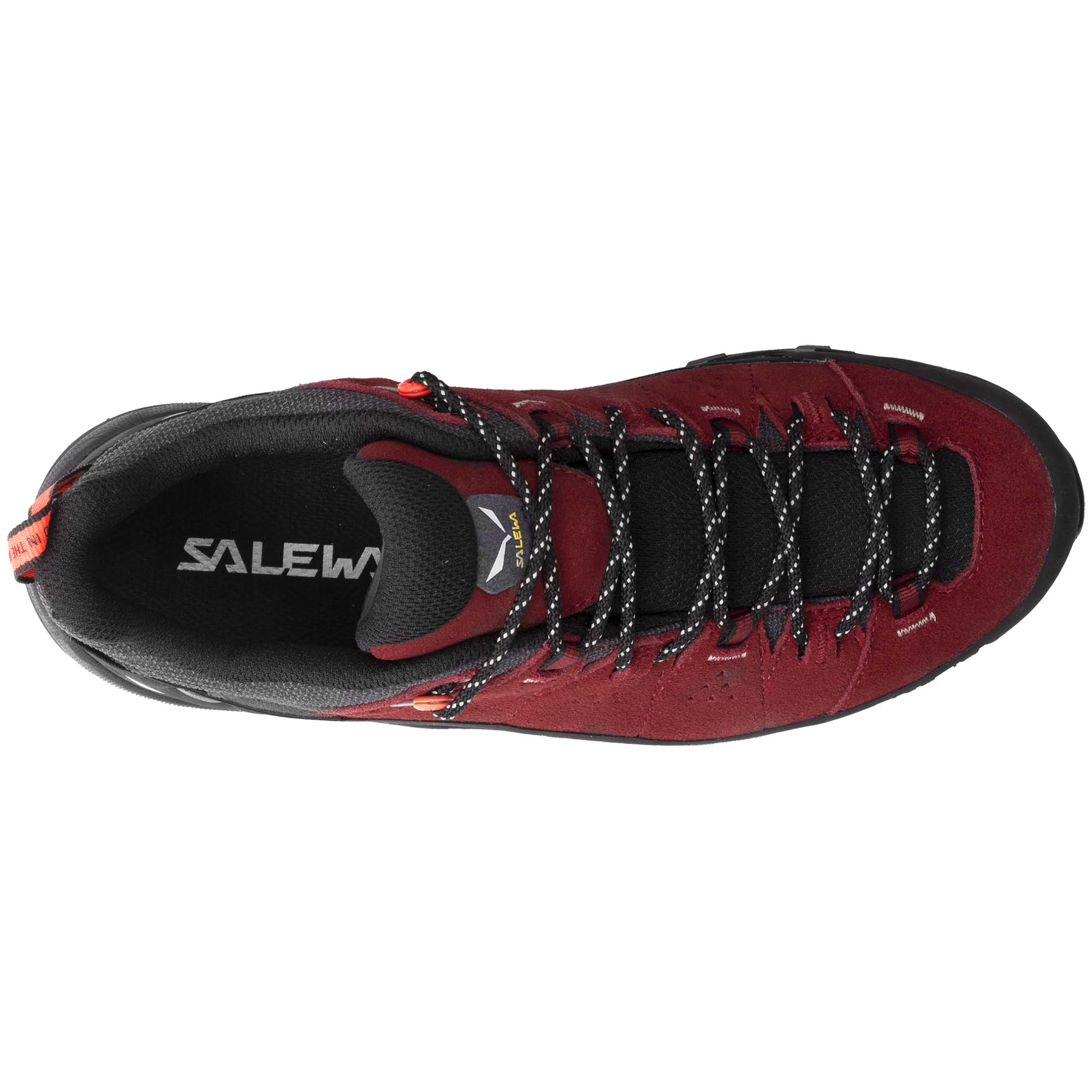 Salewa Alp Trainer 2 GTX Women's Walking Shoes