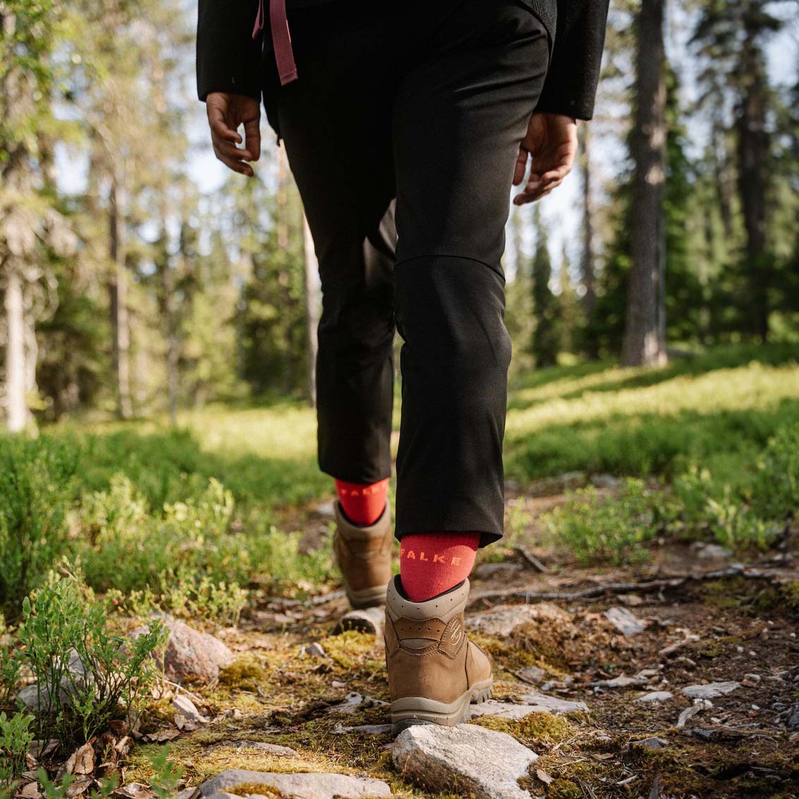 Falke TK2 Explore Women's Hiking/Walking Socks