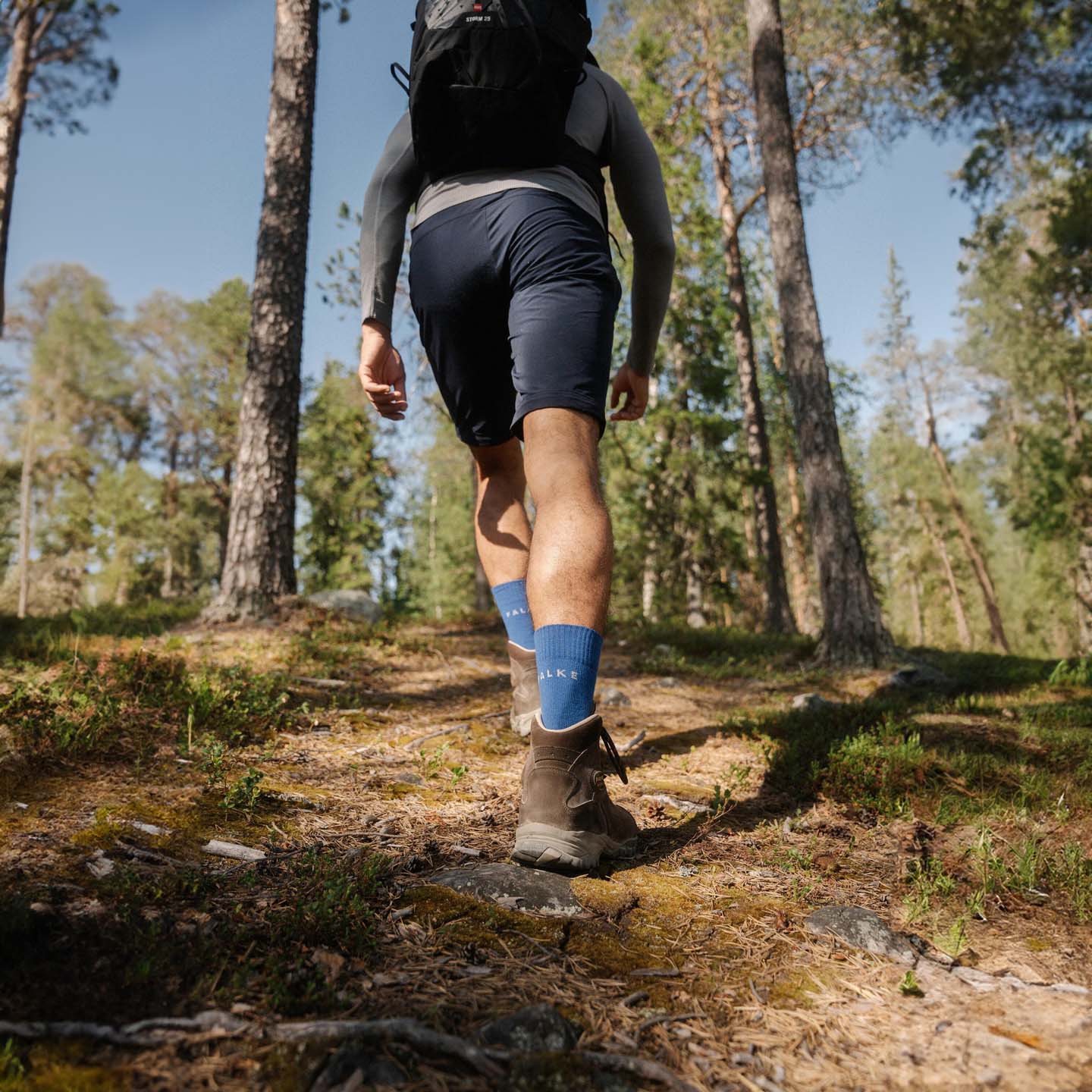 Falke TK2 Explore Men's Hiking/Walking Socks