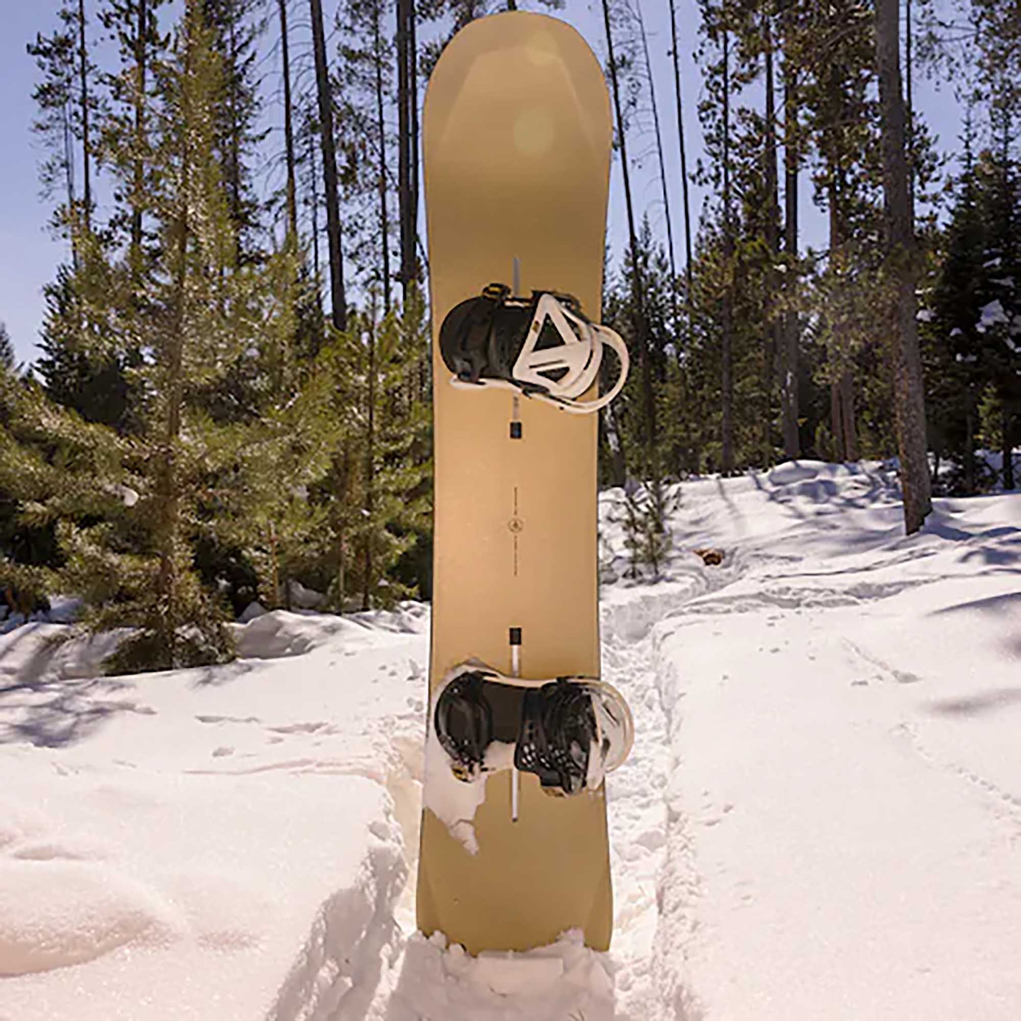 Burton Family Tree 3D Daily Driver All Mountain/Park Snowboard
