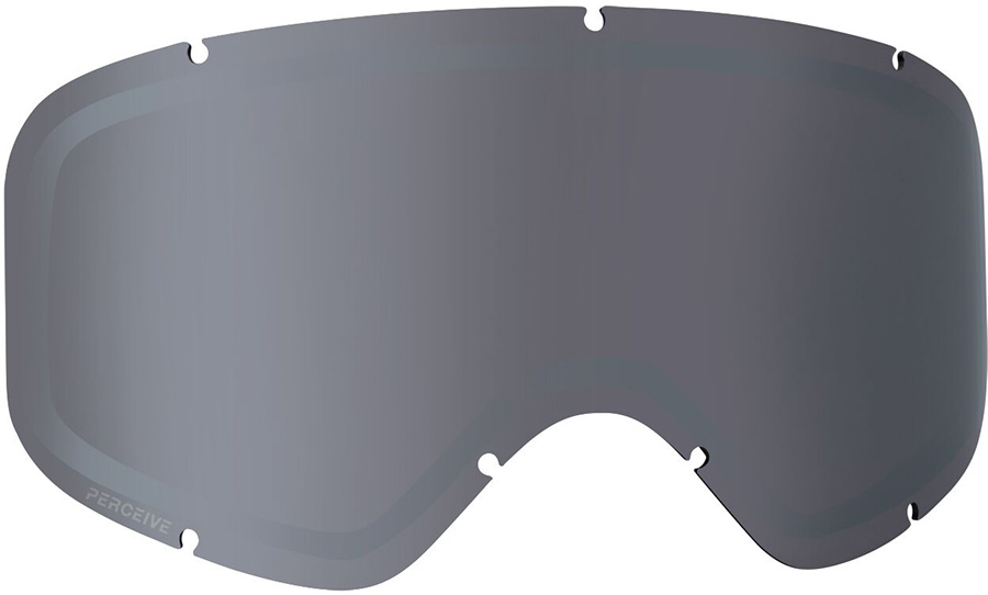 Anon Insight Ski/Snowboard Goggle Spare Lens