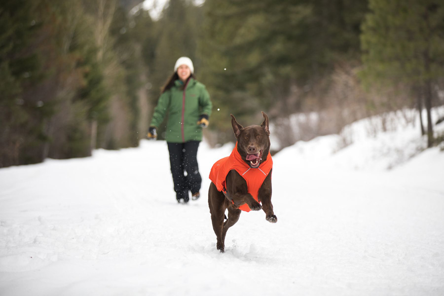 Ruffwear quinzee hotsell insulated dog jacket