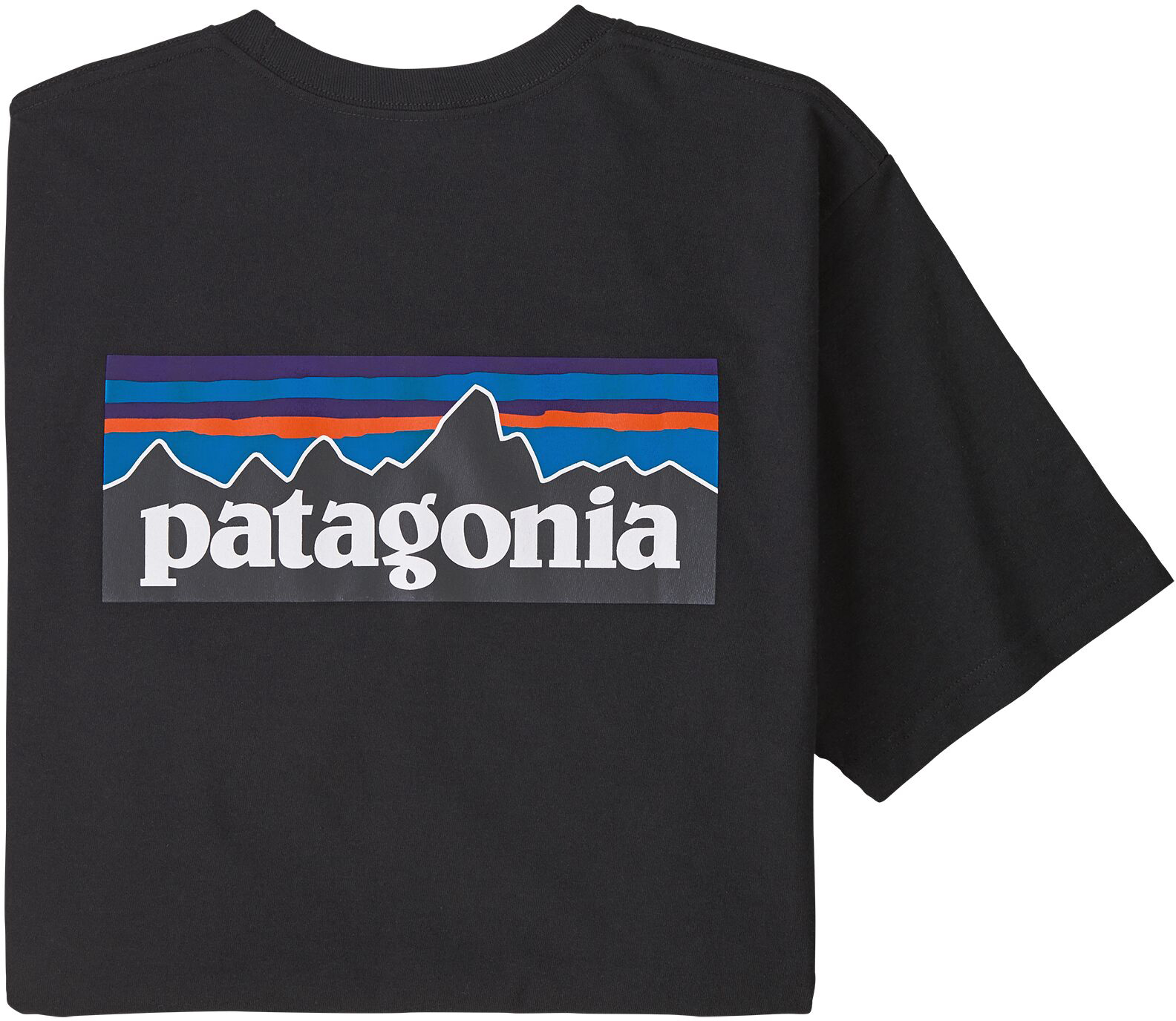 Patagonia P-6 Logo Pocket Responsibili-tee T-Shirt
