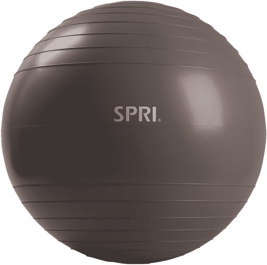 SPRI Elite Xercise Anti-Burst Exercise Ball