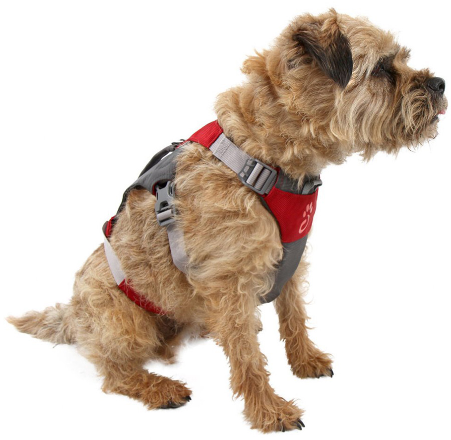 Mountain Paws Dog Hiking Harness Adjustable Pet Harness