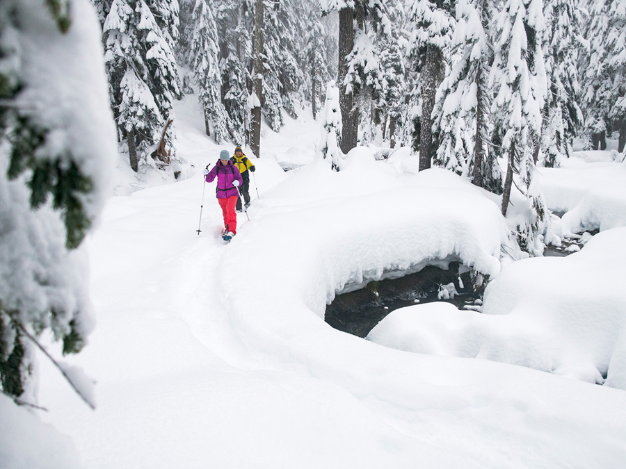 MSR DynaLock Trail Adjustable Length Ski & Snowboard Poles