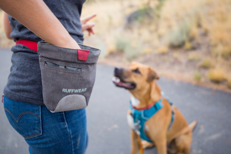 Ruffwear Treat Trader  Dog Training Waist-Worn Bag