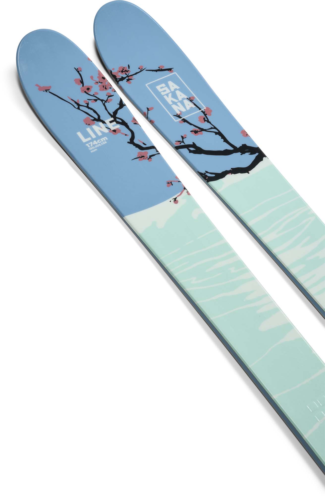 LINE Sakana Skis 2024 AbsoluteSnow