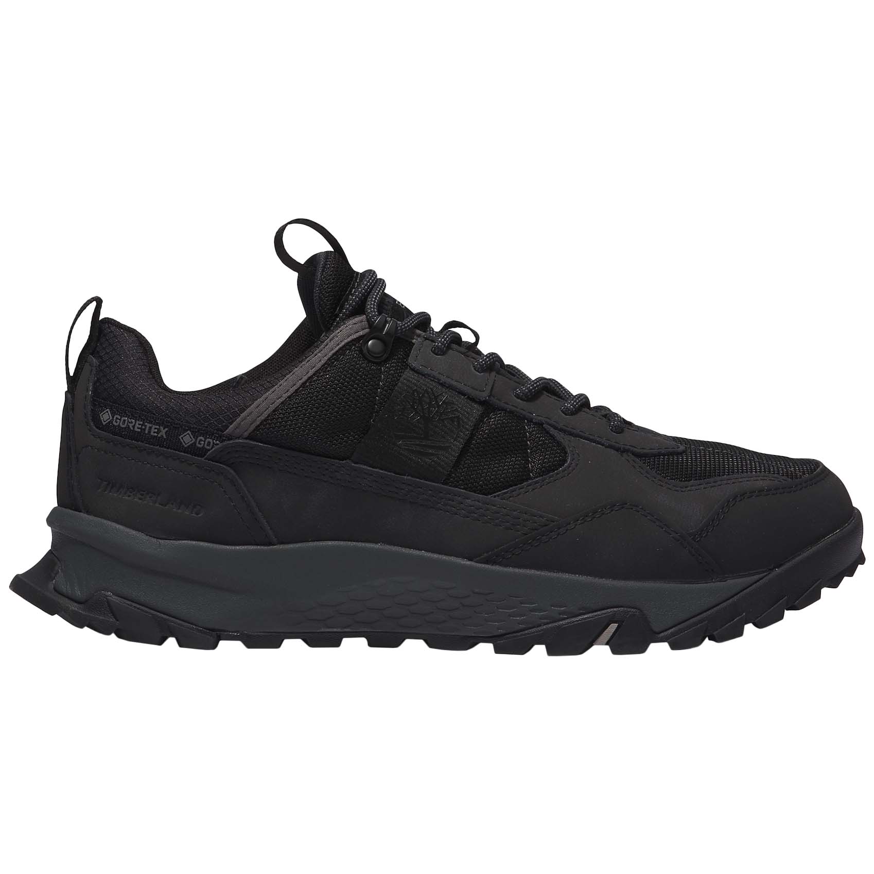 Timberland Lincoln Peak Low GTX Men's Walking Shoes