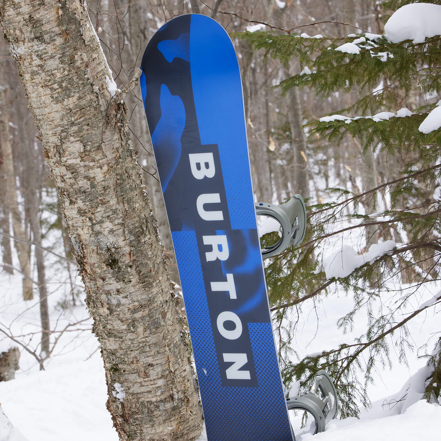 Burton Ripcord All Mountain Snowboard 2024 AbsoluteSnow