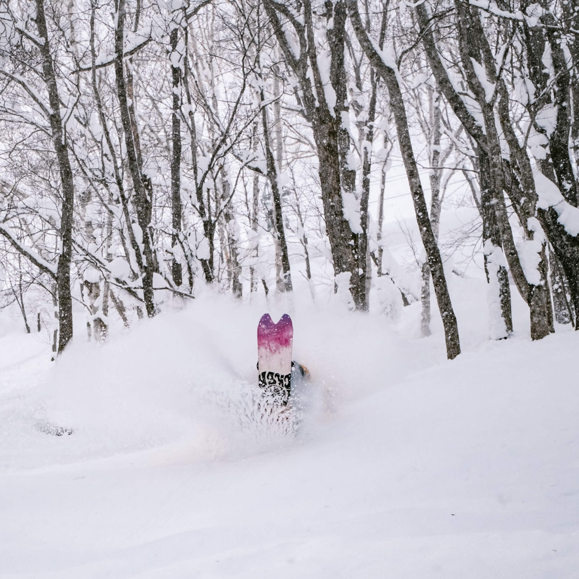 Nidecker Beta Freeride/Powder Snowboard