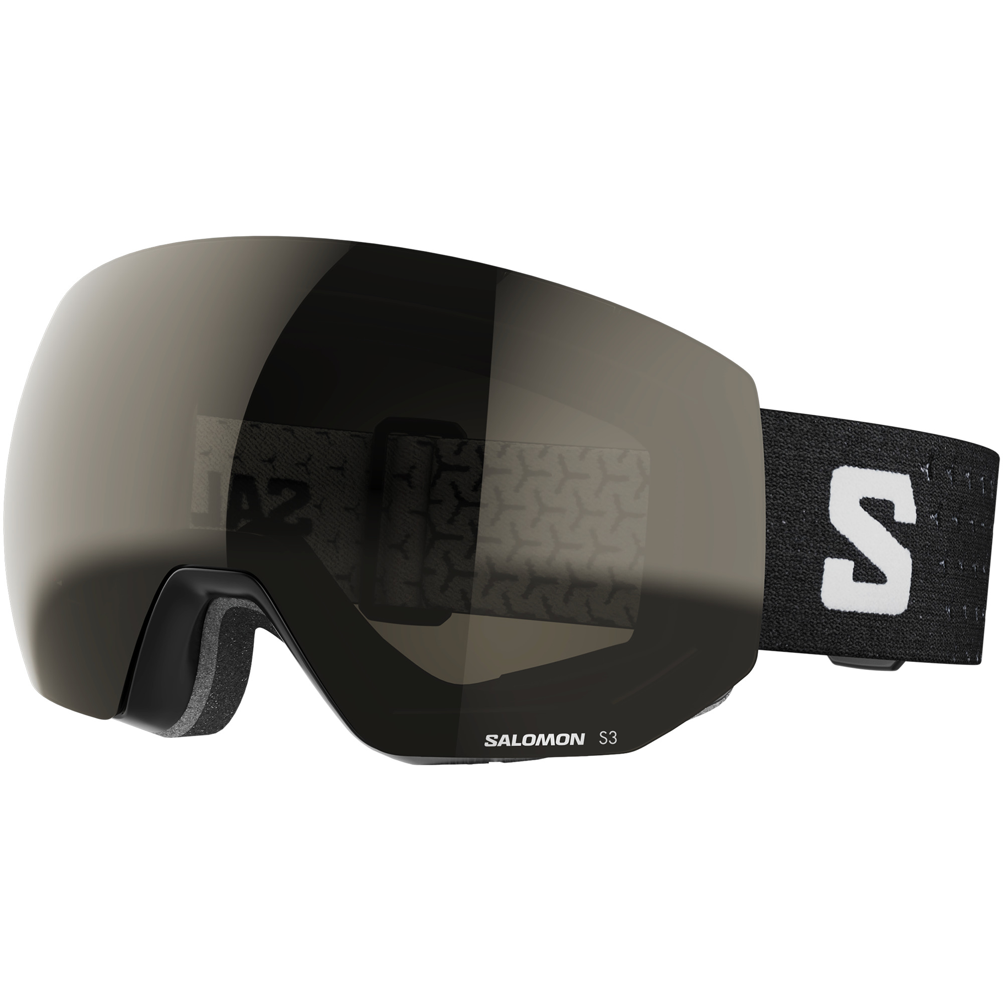 Salomon Radium Pro Snowboard/Ski Goggles