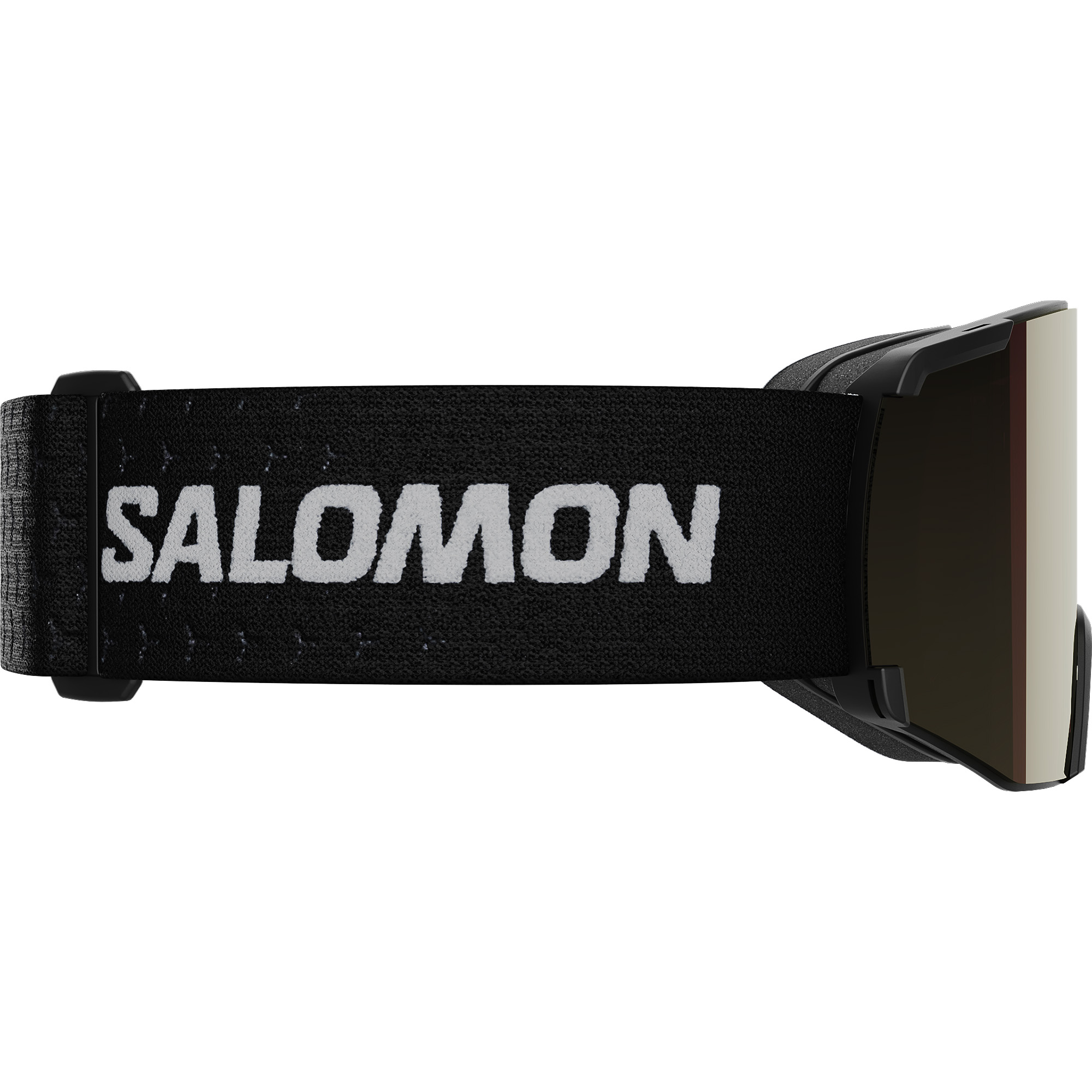 Salomon S/View Sigma Snowboard/Ski Goggles