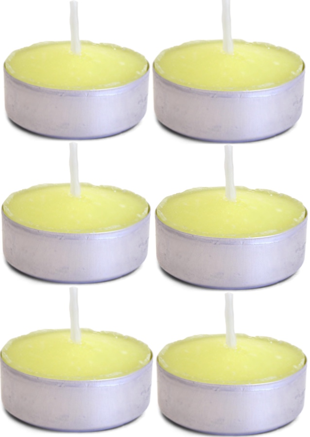 Coghlan's Citronella Tub Candles Scented Insect Repellent
