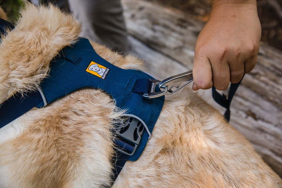 Ruffwear Front Range Harness Padded Dog Harness