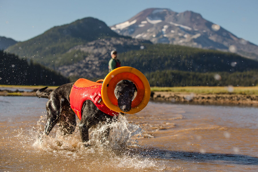 Ruffwear Float Coat Life Jacket Dog Buoyancy Aid