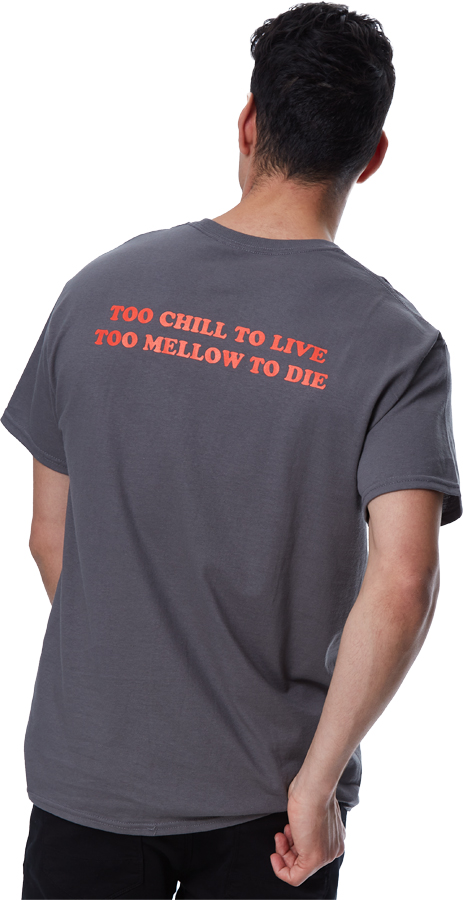 Capita SB Chill Short Sleeve Cotton T-Shirt