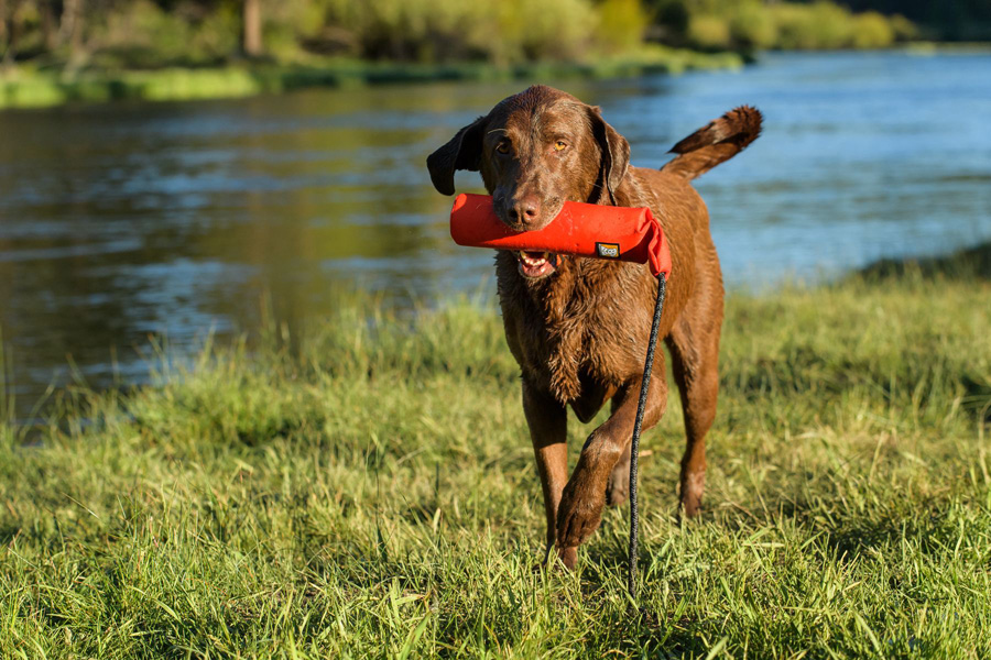 Ruffwear Lunker Floating Dog Throw & Fetch Toy