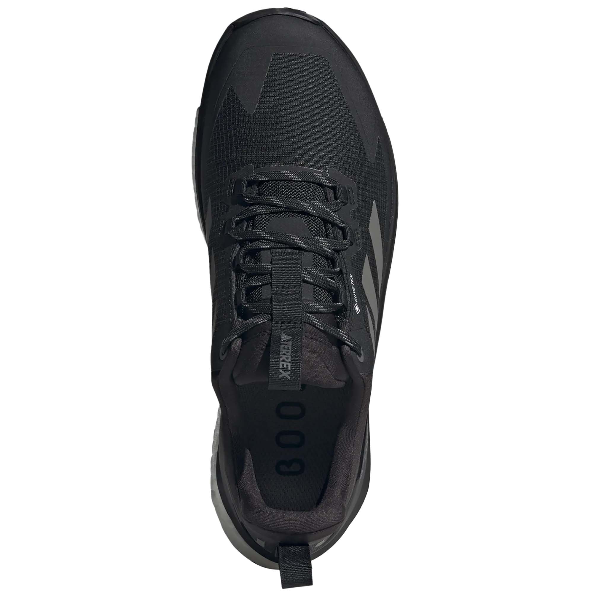 Adidas Terrex Free Hiker 2 Low GTX Hiking Shoes