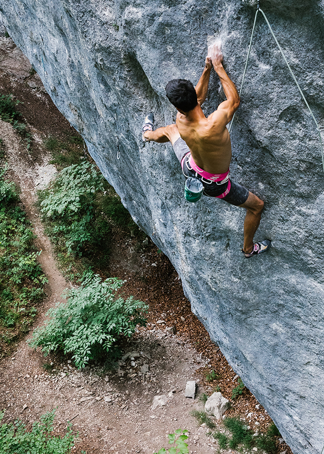 Edelrid Ace II Ultralight Climbing Harness AbsoluteSnow