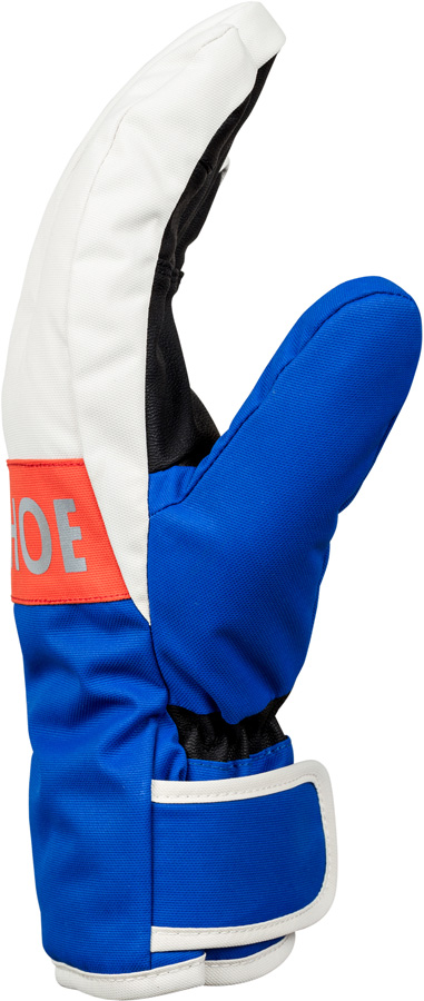 DC Franchise Waterproof Ski/Snowboard Gloves