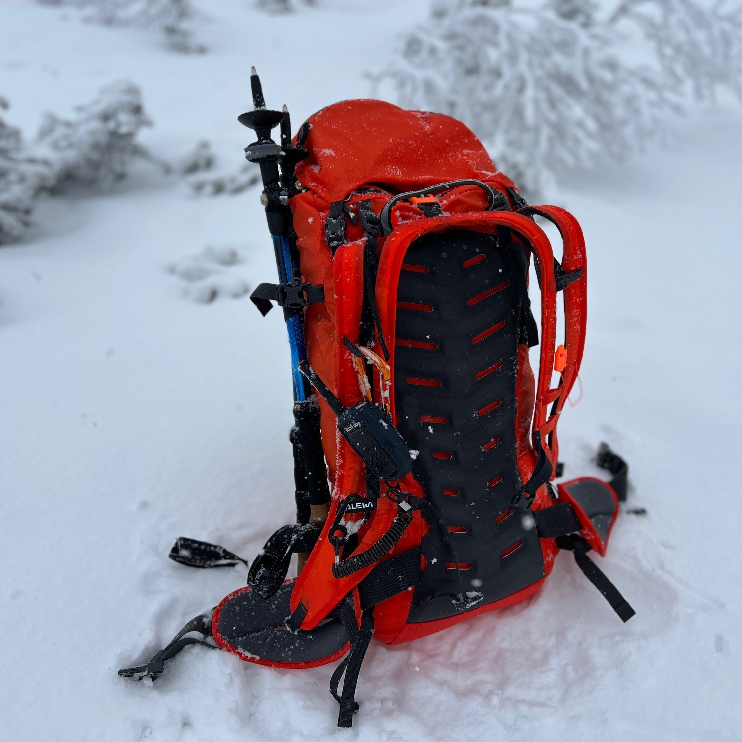 Salewa Ortles Guide 35 Mountaineering Backpack
