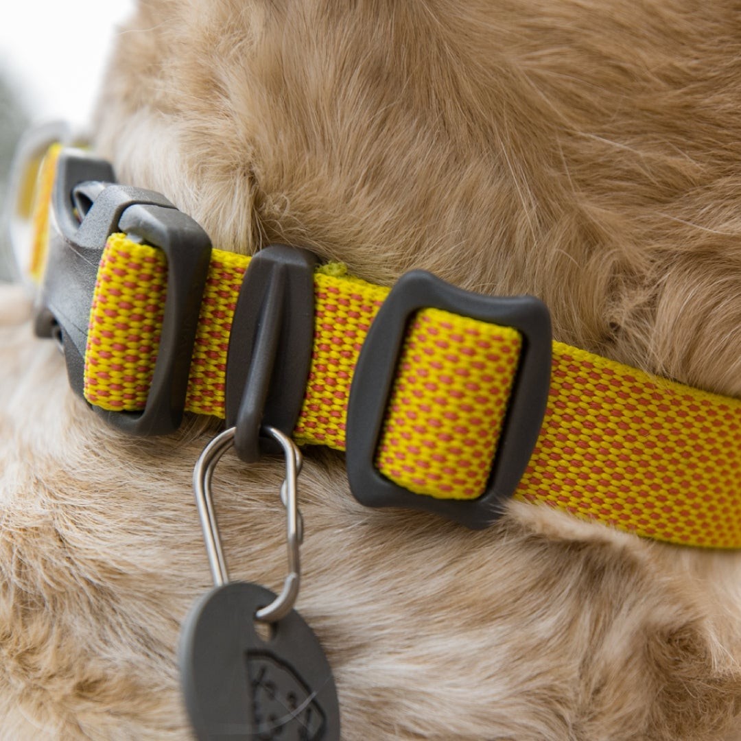 Ruffwear Hi & Light Collar Lightweight Dog Collar