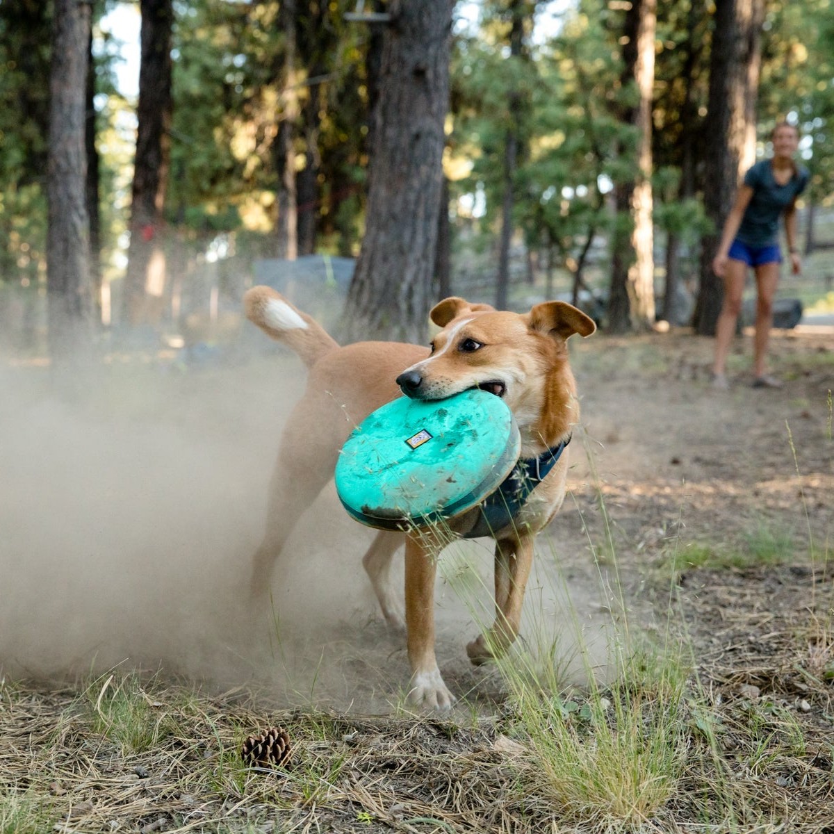 Ruffwear Hover Craft Floating Dog Frisbee