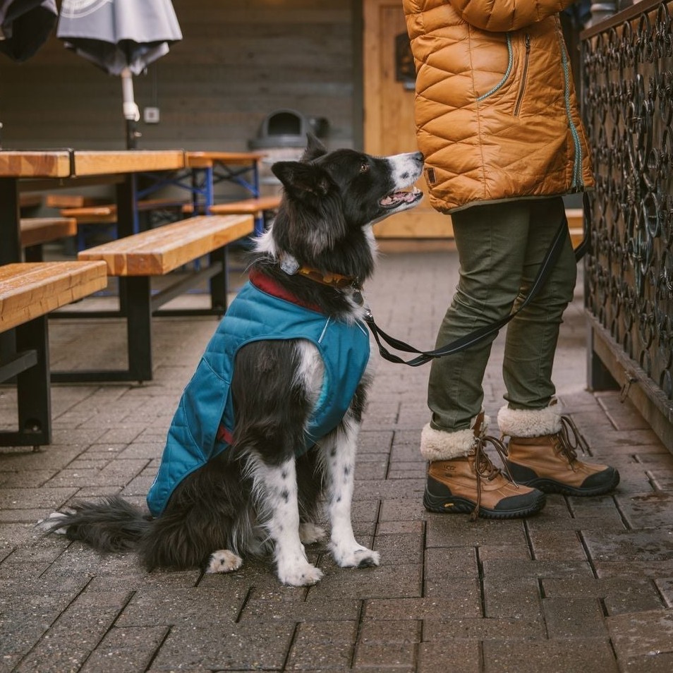 Ruffwear Stumptown Jacket Insulated Dog Coat
