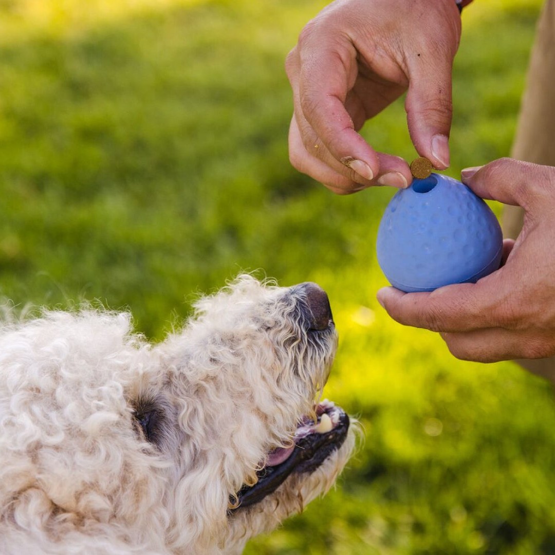 Ruffwear Turnup Rubber Throw Dog Toy AbsoluteSnow