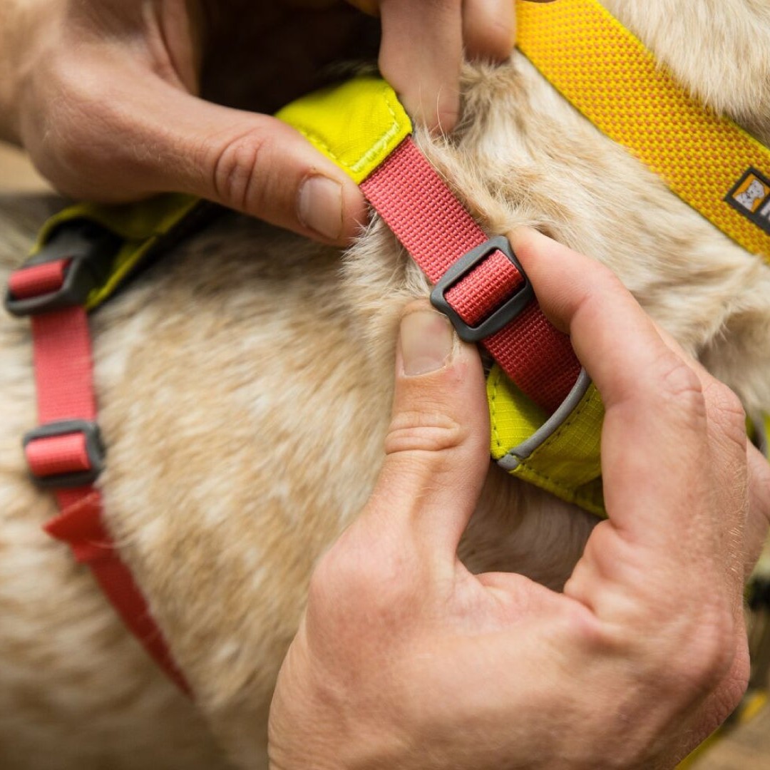 Ruffwear Hi & Light Harness Dog Harness