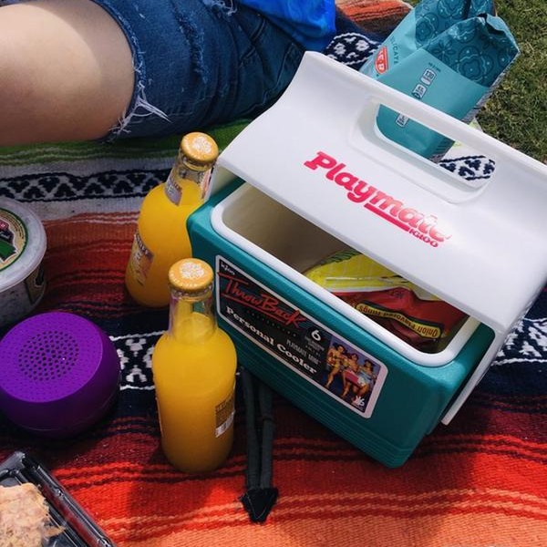 Igloo Playmate Mini Lunch Coolbox