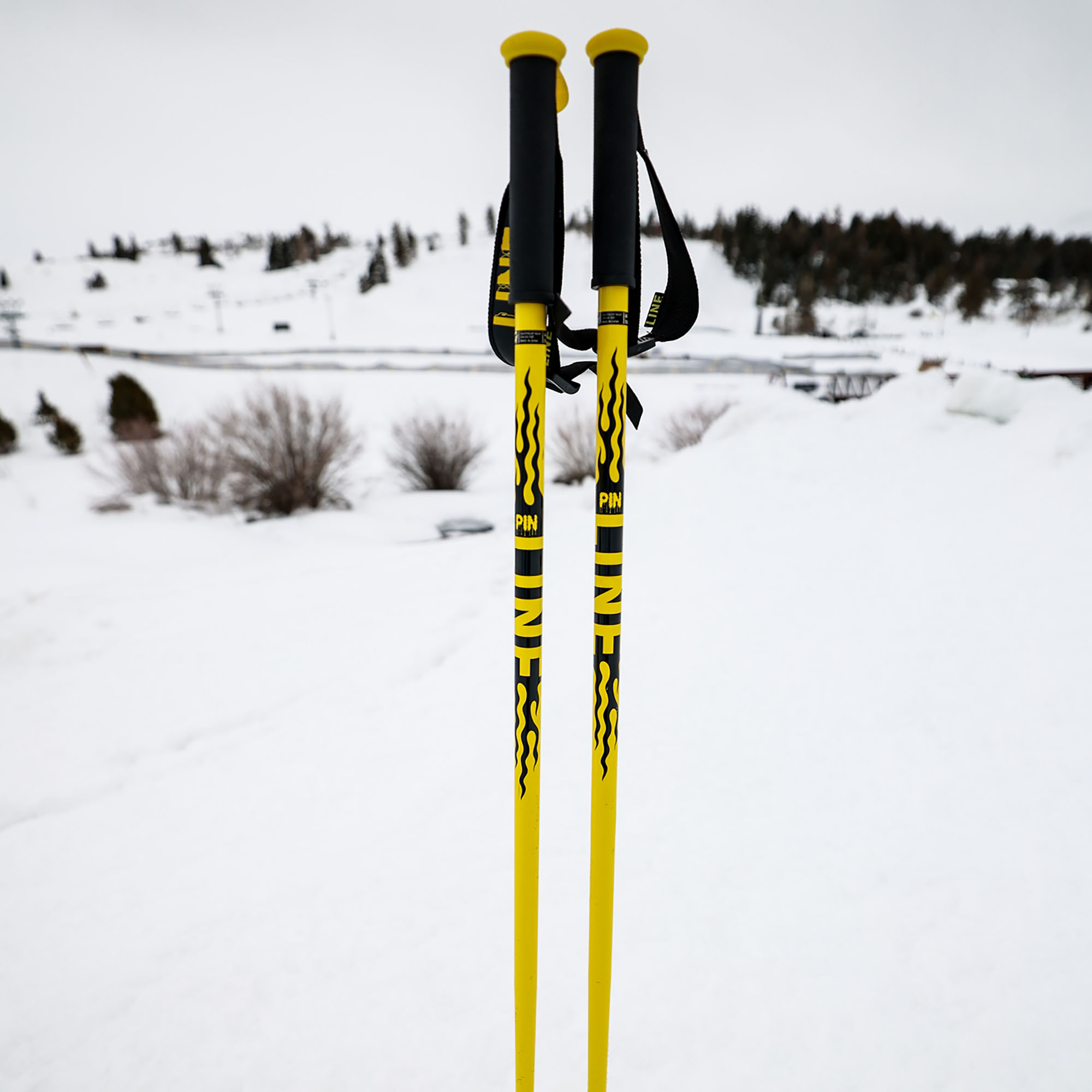 LINE Pin Pair of Ski Poles