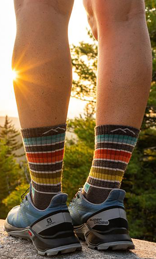 Darn Tough Decade Stripe Micro Crew Women's Hiking Socks