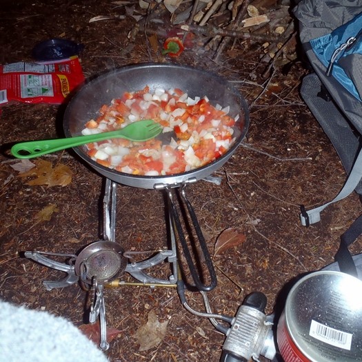 GSI Outdoors Pinnacle Frypan Non-stick Camp Frying Pan 
