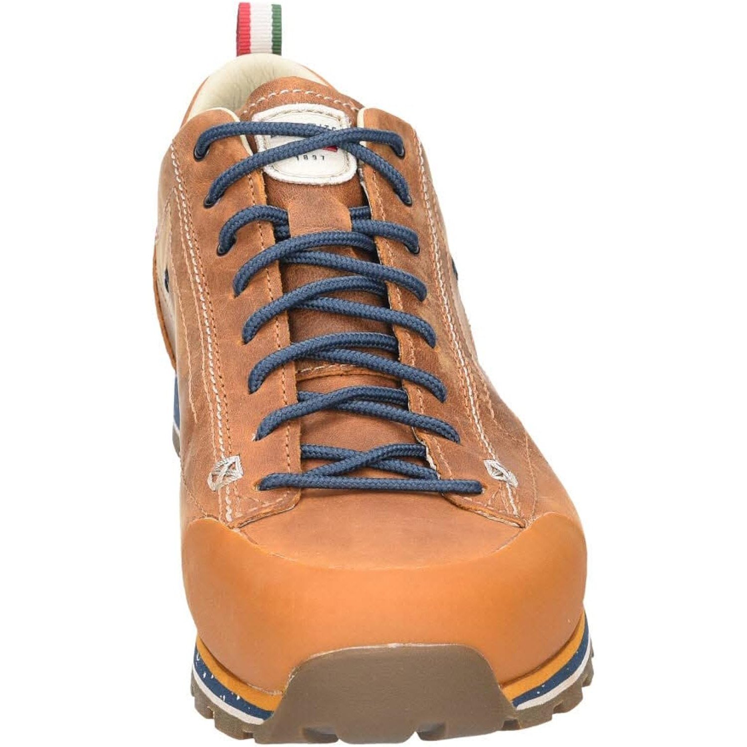 Dolomite 54 Low Fg Evo GTX Hiking/Walking Shoes